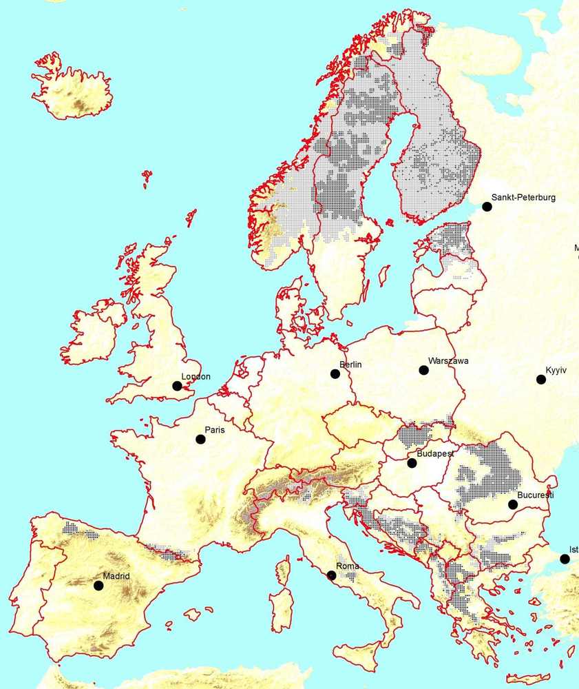 Verbreitung des Braunbären in Europa (Quelle: IUCN)