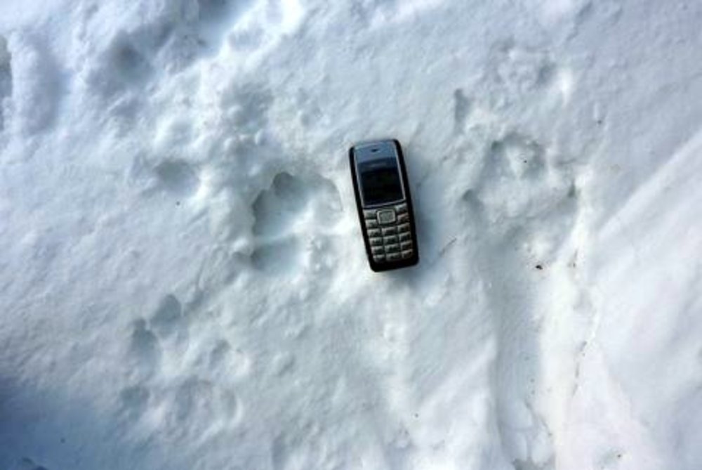 Trittsiegel des Wolfs (©  H. Leiner)