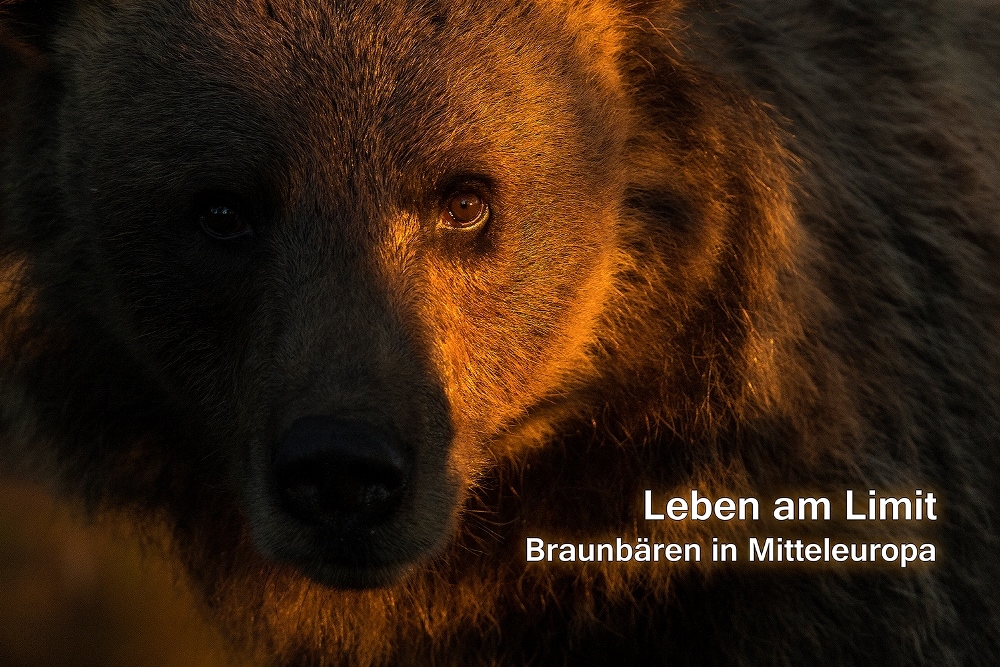 LEBEN AM LIMIT