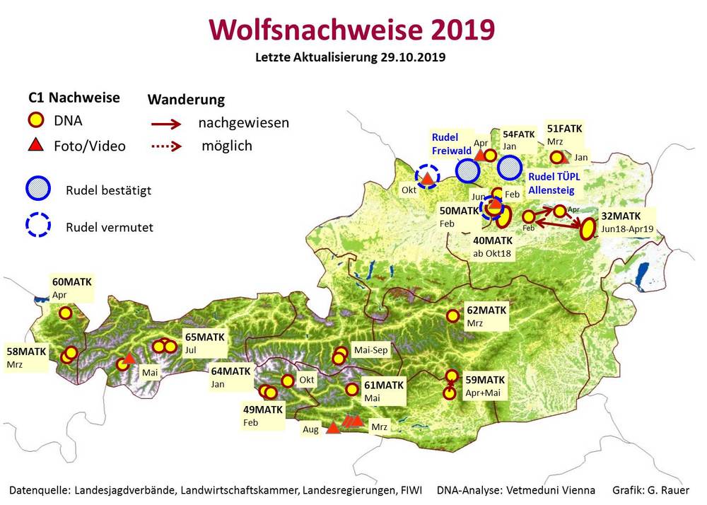 Aktuelle Wolfsnachweise 2019 (Quelle: G. Rauer)